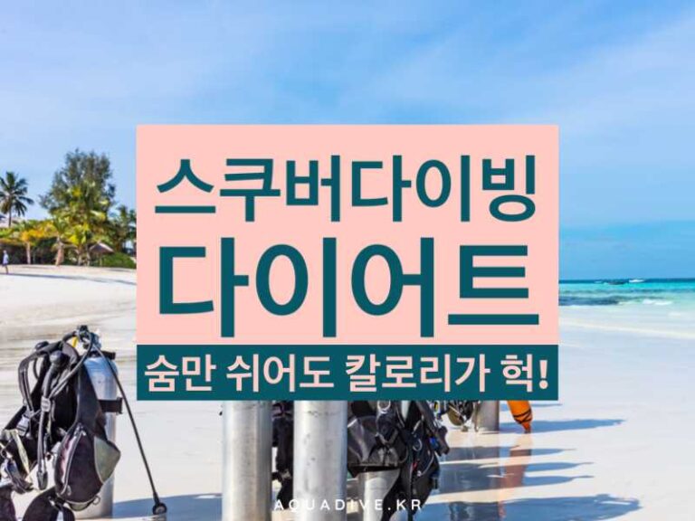 스쿠버다이빙 다이어트 가능할까? 칼로리 소모량 & 실천 가이드