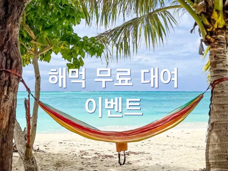 해먹 무료 대여