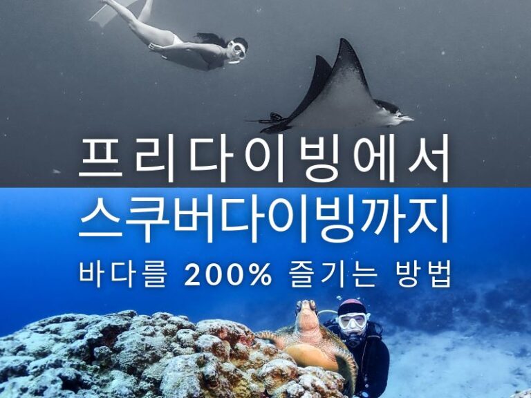 프리다이빙 스쿠버다이빙 차이
