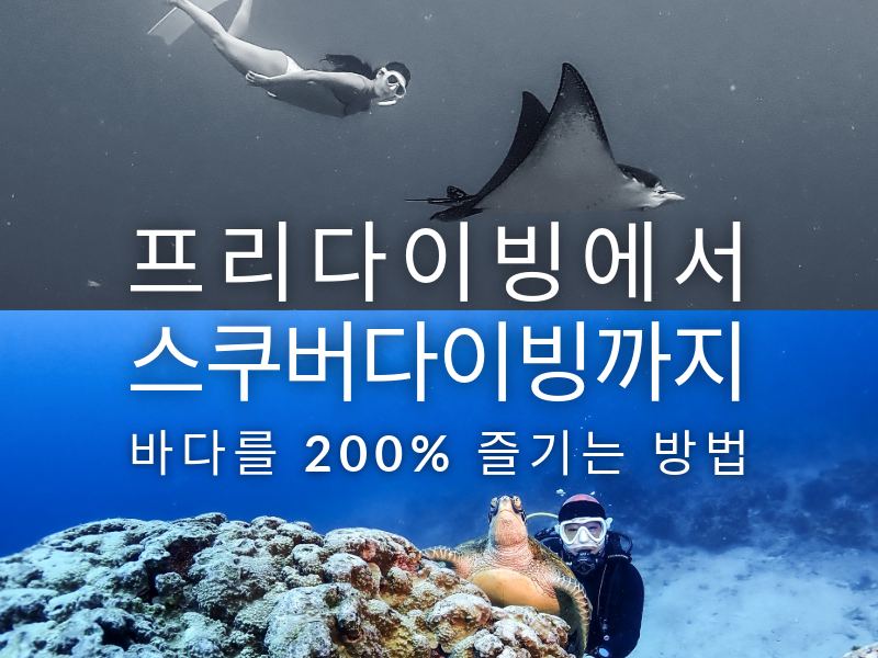 프리다이빙 스쿠버다이빙 차이