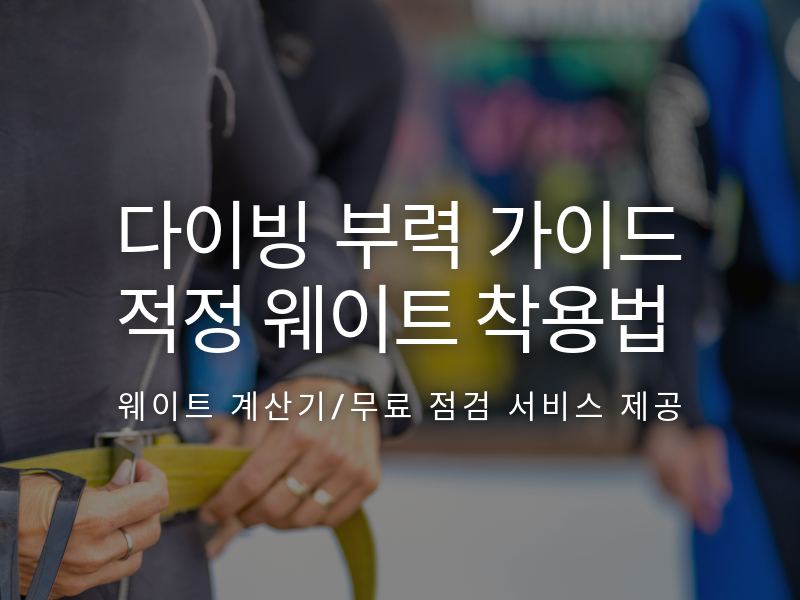 다이빙 부력 가이드 적정 웨이트 착용법