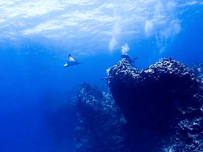 divesite_banzai_02