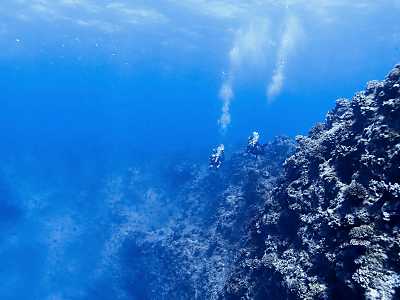 divesite_banzai_03