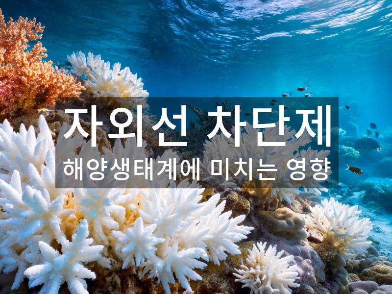 자외선 차단제 해양생태계에 미치는 영향