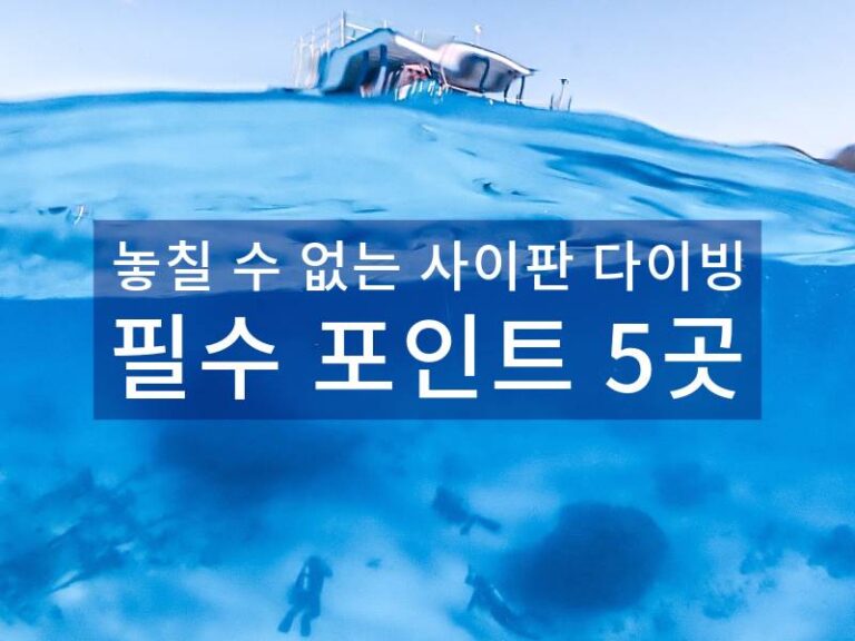 놓칠 수 없는 사이판 다이빙 필수 포인트 5곳