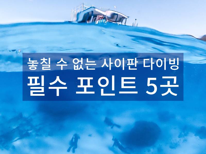 놓칠 수 없는 사이판 다이빙 필수 포인트 5곳