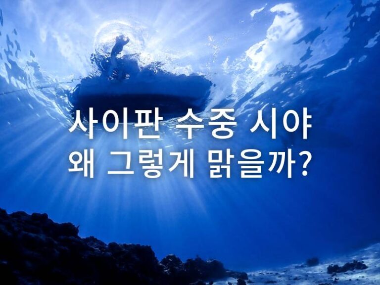 사이판 수중 시야