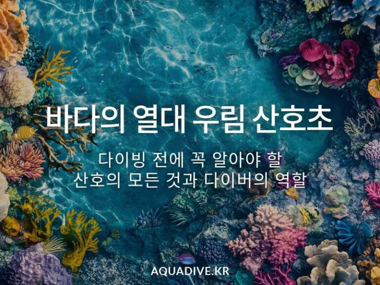 바다의 열대 우림 산호초