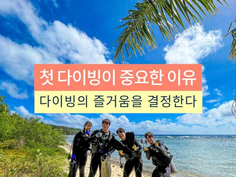 첫 다이빙이 중요한 이유
