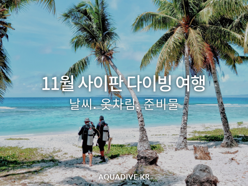 11월 사이판 다이빙 여행 가이드