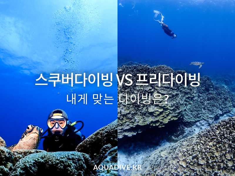 스쿠버다이빙 vs 프리다이빙