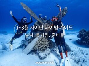 1~3월 사이판 다이빙 가이드