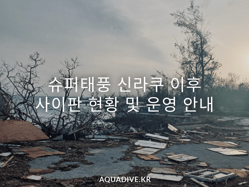 공지_신라쿠 태풍 이후 사이판 현황