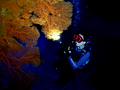 divesite_grotto_05