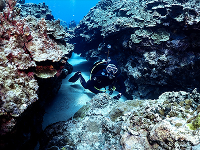 divesite_laulau_05