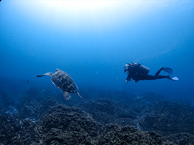 divesite_oleai_02