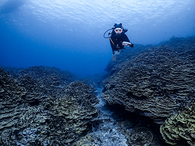 divesite_oleai_04