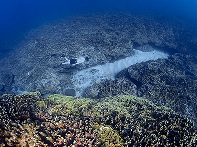 divesite_oleai_05