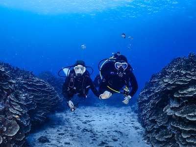 divesite_oleai_07