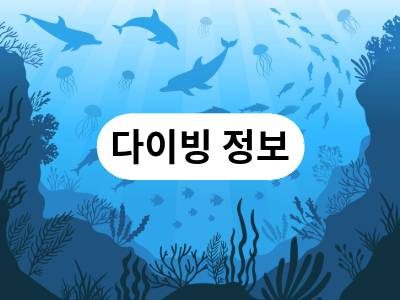 다이빙 정보